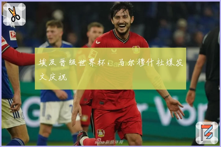 埃及晋级世界杯，马尔穆什社媒发文庆祝