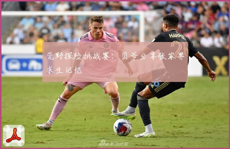 荒野探险挑战赛：贝爷分享张家界求生记忆