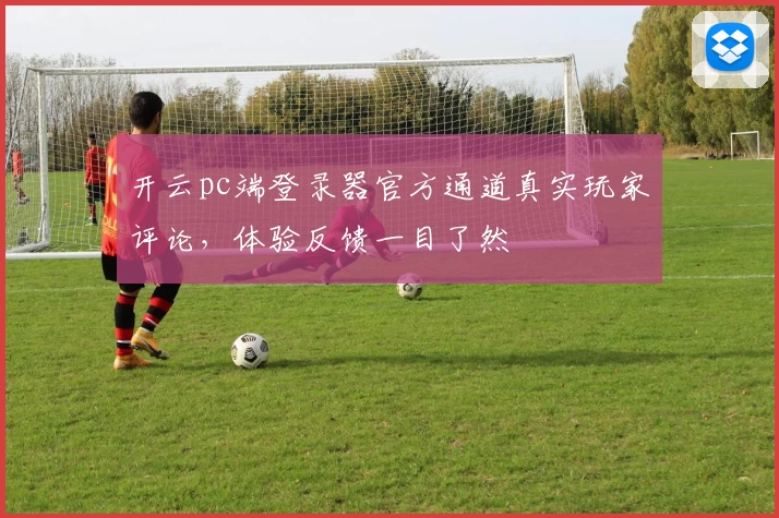 开云pc端登录器官方通道真实玩家评论，体验反馈一目了然